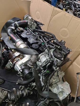 Silnik kompletny Ford Fiesta KUJA KVJA SPRAWDZONY