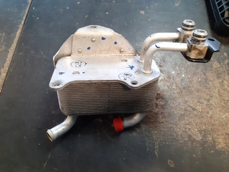 Chłodnica Chłodniczka OLEJU Ford RANGER oryginał