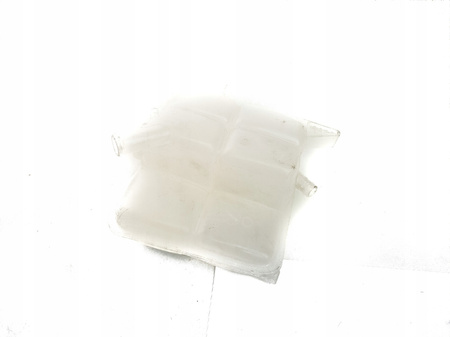 Rezervor de expansiune Ford Focus C-Max Kuga Connect