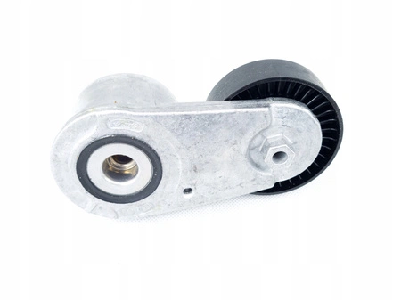 Întinzător de curea Transit 2.0 Ecoblue Custom