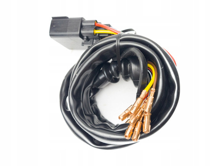 Wiązka haka gniazdo 13 stykowe Ford Ranger 15A416