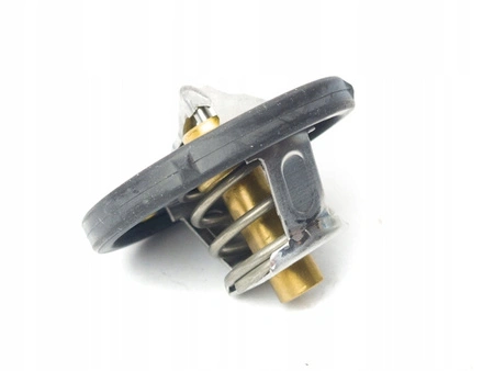 Termostat Ford C-Max Ecosport Focus Mondeo Fiesta