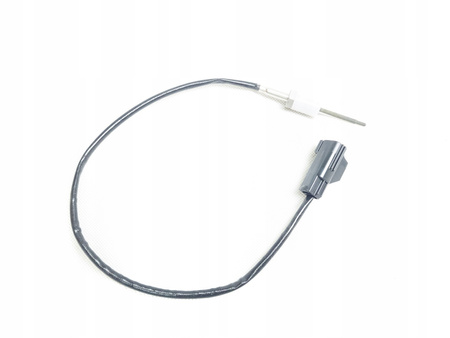 Senzor de temperatură DPF Ford Connect Ecosport 1.5