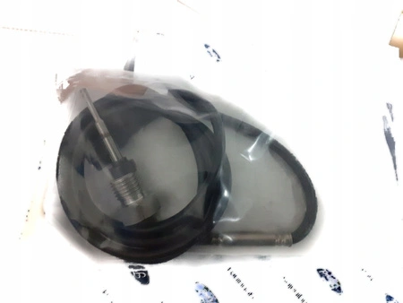 Senzor de temperatură a gazelor de eșapament FORD RANGER 3.2 TDCI