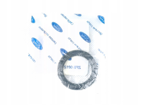 Garnitura colectorului de admisie FORD Fiesta Fusion