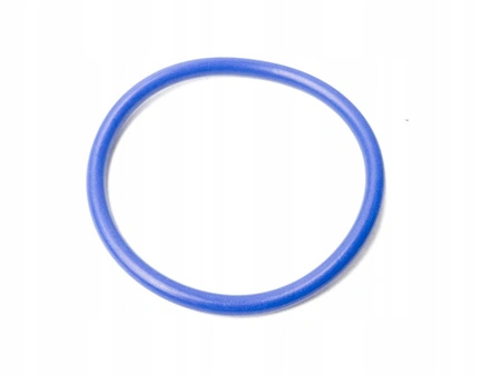 Uszczelka termostatu Ford 2.0 Ecoblue Custom Focus