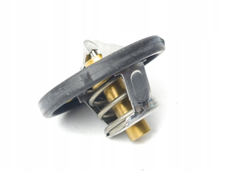 Termostat Ford C-Max Ecosport Focus Mondeo Fiesta