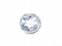 Podkładka Ford C-MAX FOCUS TRANSIT MONDEO FIESTA