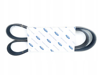 Pasek klinowy Ford Kuga C-Max Focus 2.0 TDCI ORG